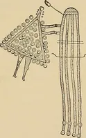 An illustration from Yarn and cloth making; an economic study; a college and normal schools text preliminary to fabric study, and a reference for teachers of industrial history and art in secondary and elementary schools (1918)
