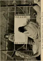 Picture 39 of 85 from Yarn and cloth making; an economic study; a college and normal schools text preliminary to fabric study, and a reference for teachers of industrial history and art in secondary and elementary schools (1918), leaf 176
