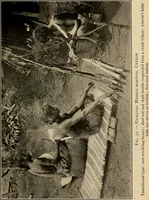 An illustration from Yarn and cloth making; an economic study; a college and normal schools text preliminary to fabric study, and a reference for teachers of industrial history and art in secondary and elementary schools (1918)