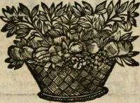 An illustration from Ydelheyd des werelds verciert met zinne-beelden, rym-dighten en zede-leeringen (1720)
