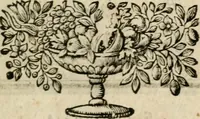 An illustration from Ydelheyd des werelds verciert met zinne-beelden, rym-dighten en zede-leeringen (1720)