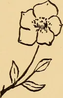 An illustration from A year book for primary grades, based on Froebel's mother plays (1908)