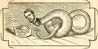 Picture 8 of 24 from Ye book of Copperheads (1863), leaf 14