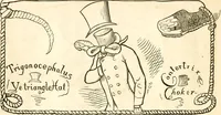 Picture 13 of 24 from Ye book of Copperheads (1863), leaf 19