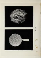Picture 3 of 9 from Ye magick mirrour of old Japan (1893), leaf 18