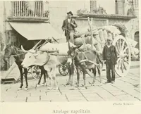 Picture 2 of 115 from Naples et son golfe (1911), leaf 12