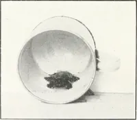 Picture 90 of 100 from Yorkshire potteries, pots and potters (1916), leaf 105