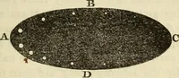 An illustration from The young astronomer; or, The facts developed by modern astronomy, collected for the use of schools and the general reader (1847)