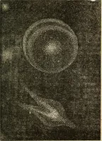 An illustration from The young astronomer; or, The facts developed by modern astronomy, collected for the use of schools and the general reader (1847)
