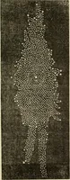 An illustration from The young astronomer; or, The facts developed by modern astronomy, collected for the use of schools and the general reader (1847)
