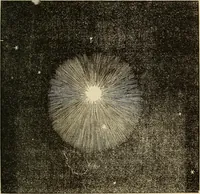 An illustration from The young astronomer; or, The facts developed by modern astronomy, collected for the use of schools and the general reader (1847)
