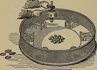 Picture 139 of 700 from The young folk's cyclopædia of games and sports ; (1899), leaf 143