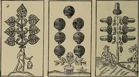 Picture 158 of 700 from The young folk's cyclopædia of games and sports ; (1899), leaf 155