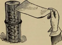 Picture 5 of 700 from The young folk's cyclopædia of games and sports ; (1899), leaf 19