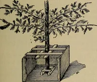 Picture 206 of 700 from The young folk's cyclopædia of games and sports ; (1899), leaf 200