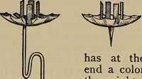 Picture 207 of 700 from The young folk's cyclopædia of games and sports ; (1899), leaf 200