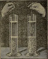 Picture 239 of 700 from The young folk's cyclopædia of games and sports ; (1899), leaf 248