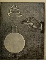 Picture 265 of 700 from The young folk's cyclopædia of games and sports ; (1899), leaf 276