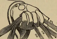 Picture 269 of 700 from The young folk's cyclopædia of games and sports ; (1899), leaf 280