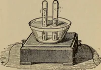 Picture 292 of 700 from The young folk's cyclopædia of games and sports ; (1899), leaf 300