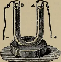 Picture 293 of 700 from The young folk's cyclopædia of games and sports ; (1899), leaf 301