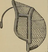 Picture 307 of 700 from The young folk's cyclopædia of games and sports ; (1899), leaf 319