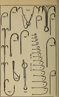 Picture 320 of 700 from The young folk's cyclopædia of games and sports ; (1899), leaf 331