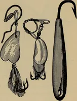 Picture 322 of 700 from The young folk's cyclopædia of games and sports ; (1899), leaf 332