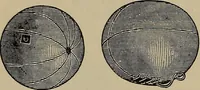 Picture 336 of 700 from The young folk's cyclopædia of games and sports ; (1899), leaf 351