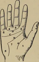 Picture 337 of 700 from The young folk's cyclopædia of games and sports ; (1899), leaf 361