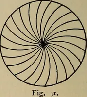 Picture 347 of 700 from The young folk's cyclopædia of games and sports ; (1899), leaf 365