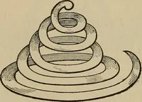Picture 353 of 700 from The young folk's cyclopædia of games and sports ; (1899), leaf 367