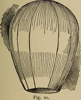 Picture 356 of 700 from The young folk's cyclopædia of games and sports ; (1899), leaf 368