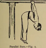 Picture 388 of 700 from The young folk's cyclopædia of games and sports ; (1899), leaf 396