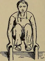 Picture 396 of 700 from The young folk's cyclopædia of games and sports ; (1899), leaf 397