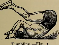 Picture 399 of 700 from The young folk's cyclopædia of games and sports ; (1899), leaf 400