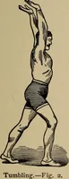Picture 400 of 700 from The young folk's cyclopædia of games and sports ; (1899), leaf 400
