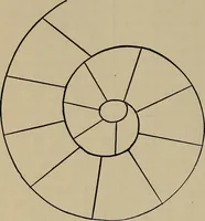 Picture 421 of 700 from The young folk's cyclopædia of games and sports ; (1899), leaf 425