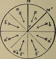 Picture 435 of 700 from The young folk's cyclopædia of games and sports ; (1899), leaf 455