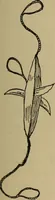 Picture 437 of 700 from The young folk's cyclopædia of games and sports ; (1899), leaf 458