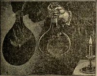 Picture 444 of 700 from The young folk's cyclopædia of games and sports ; (1899), leaf 472