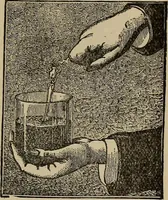 Picture 445 of 700 from The young folk's cyclopædia of games and sports ; (1899), leaf 472