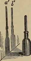 Picture 449 of 700 from The young folk's cyclopædia of games and sports ; (1899), leaf 476