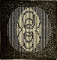 Picture 457 of 700 from The young folk's cyclopædia of games and sports ; (1899), leaf 485
