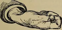Picture 467 of 700 from The young folk's cyclopædia of games and sports ; (1899), leaf 494