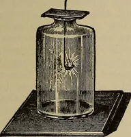 Picture 476 of 700 from The young folk's cyclopædia of games and sports ; (1899), leaf 522