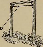 Picture 483 of 700 from The young folk's cyclopædia of games and sports ; (1899), leaf 532