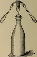 Picture 47 of 700 from The young folk's cyclopædia of games and sports ; (1899), leaf 55