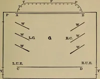 Picture 499 of 700 from The young folk's cyclopædia of games and sports ; (1899), leaf 560