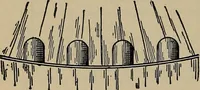 Picture 500 of 700 from The young folk's cyclopædia of games and sports ; (1899), leaf 561